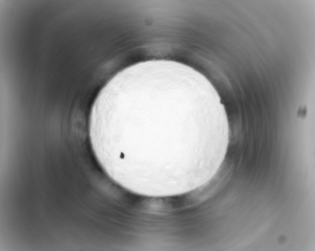 X0000103170187200809192125