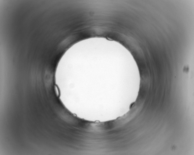 X0000103170188200809192125