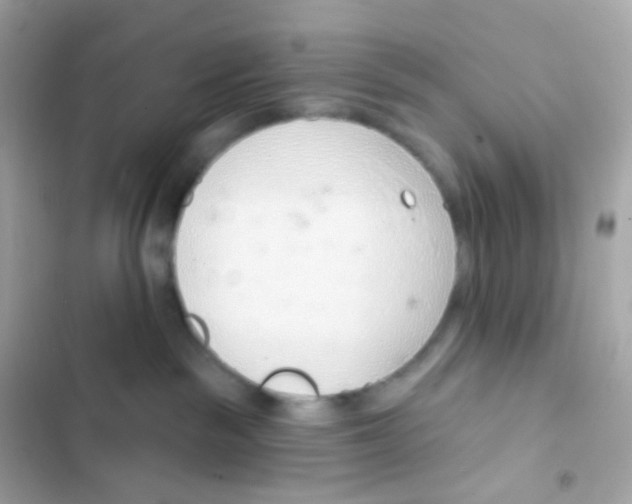 X0000103170189200809192125