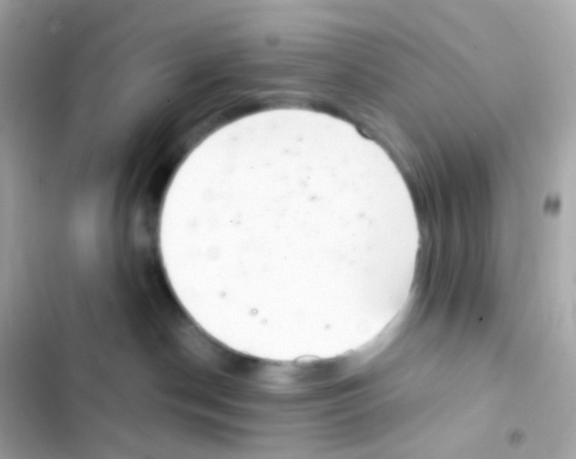 X0000103170190200809192125