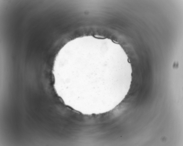 X0000103170192200809192125