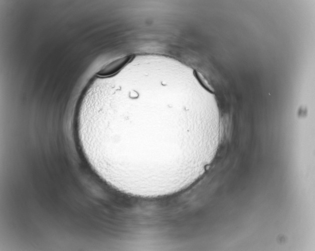 X0000103170195200809192124