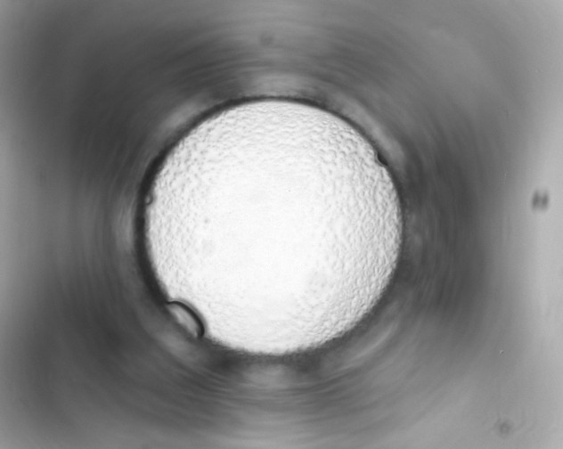 X0000103170203200809192124