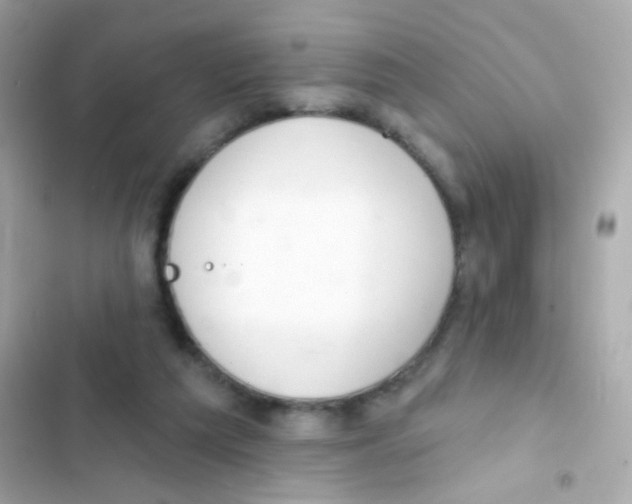 X0000103170209200809192124