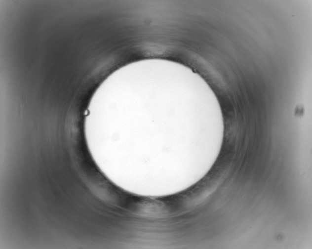 X0000103170215200809192124