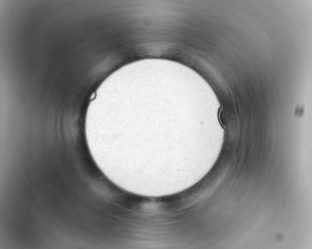 X0000103170216200809192124