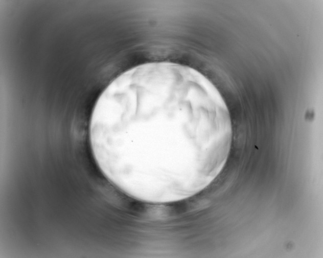 X0000103170226200809192124