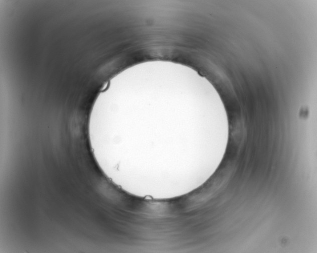 X0000103170233200809192124