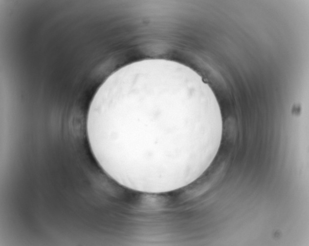 X0000103170234200809192124