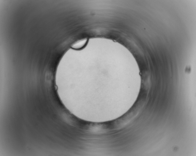 X0000103170235200809192124