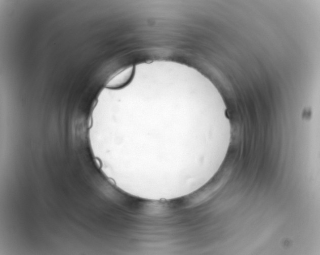 X0000103170238200809192124