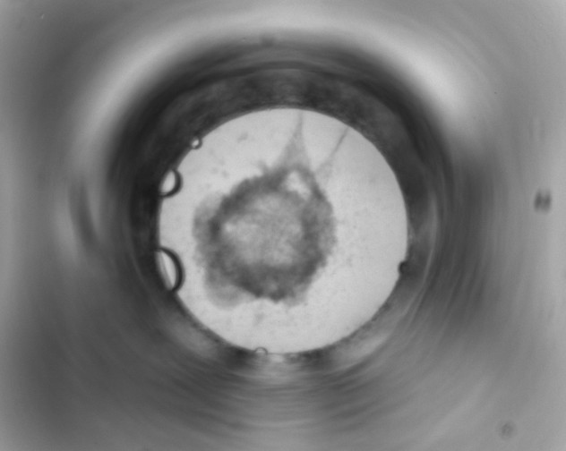 X0000103170239200809192124