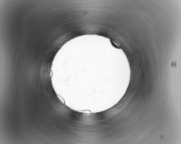 X0000103170240200809192124