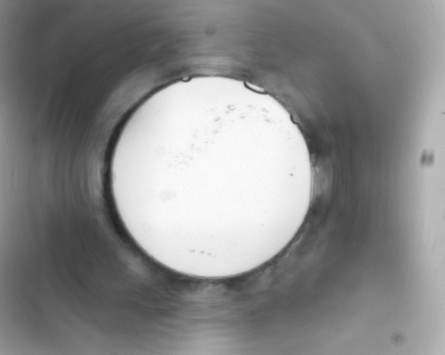 X0000103170243200809192123