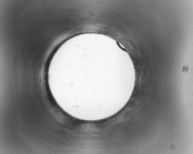 X0000103170244200809192123