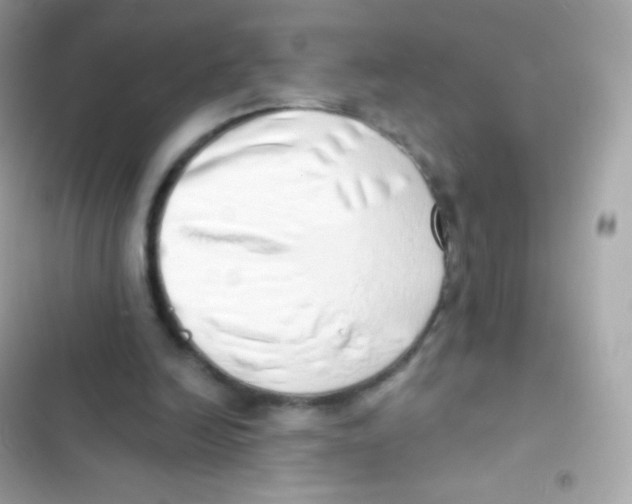 X0000103170246200809192123