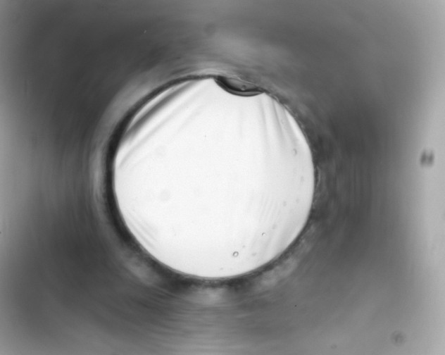 X0000103170247200809192123