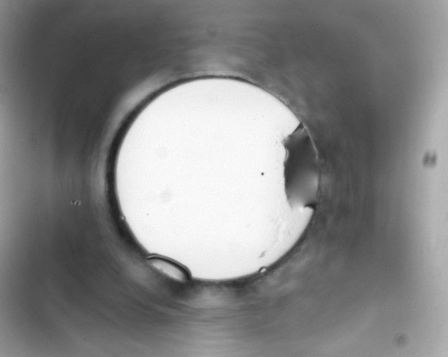 X0000103170248200809192123