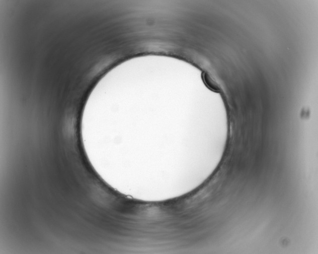 X0000103170249200809192123