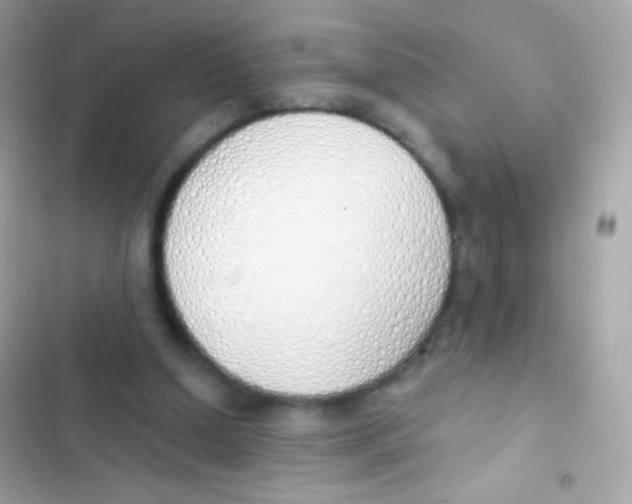 X0000103170250200809192123