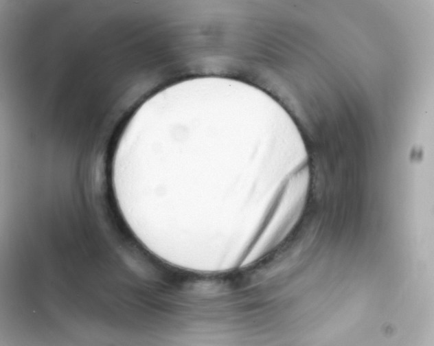 X0000103170251200809192123