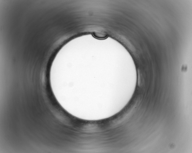 X0000103170252200809192123