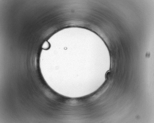 X0000103170253200809192123