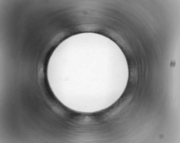 X0000103170254200809192123