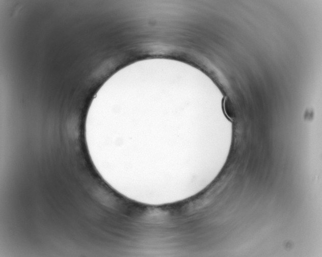 X0000103170257200809192123