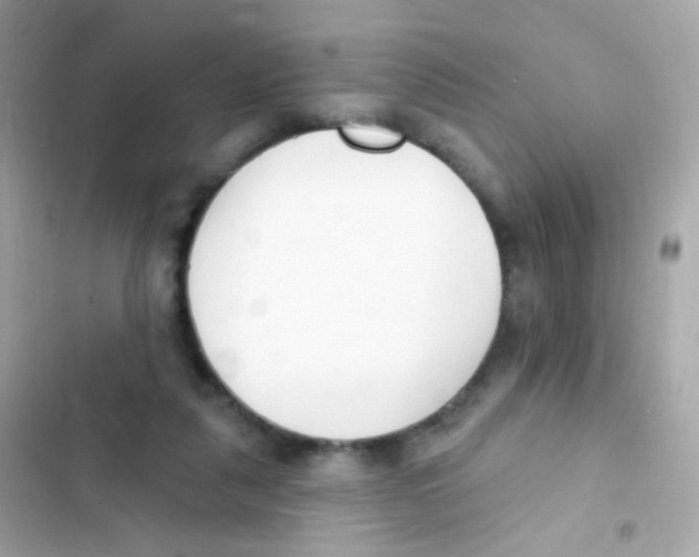 X0000103170259200809192123