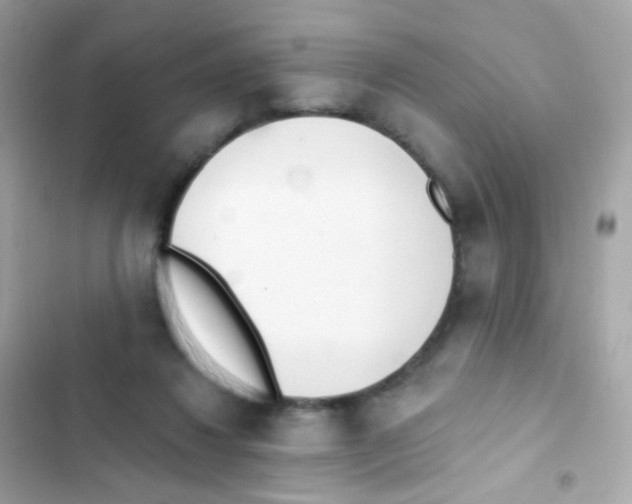 X0000103170260200809192123