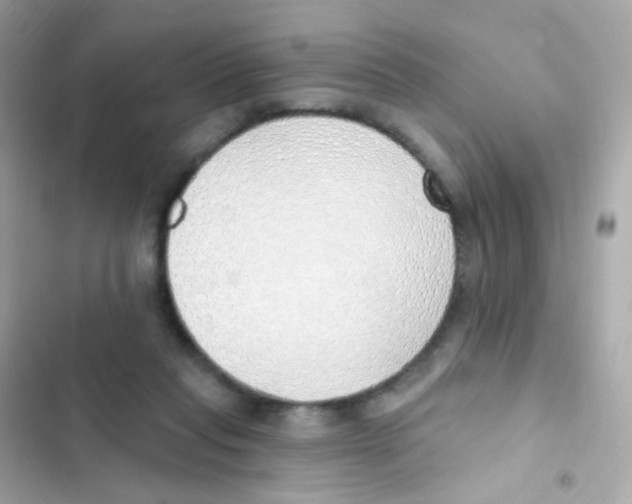 X0000103170261200809192123