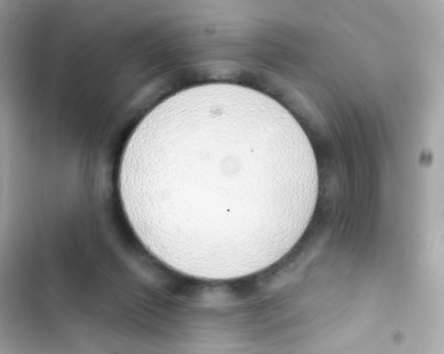 X0000103170262200809192123