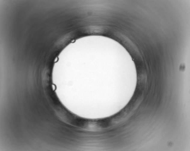 X0000103170264200809192123