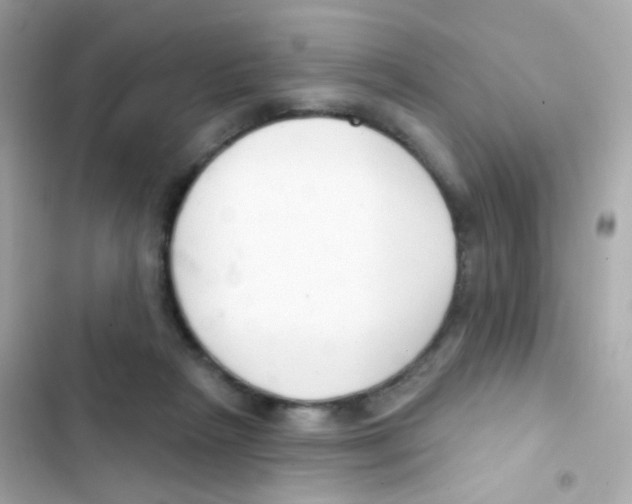 X0000103170265200809192123