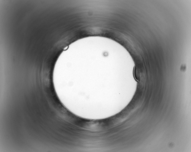 X0000103170267200809192123