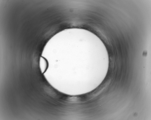 X0000103170269200809192123