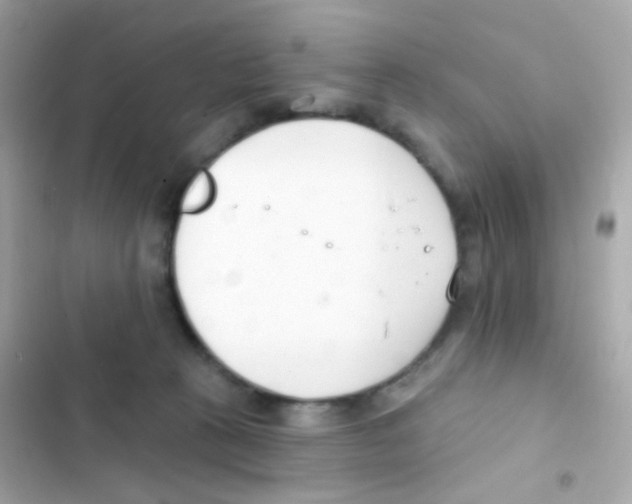 X0000103170273200809192123