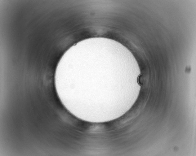 X0000103170274200809192123