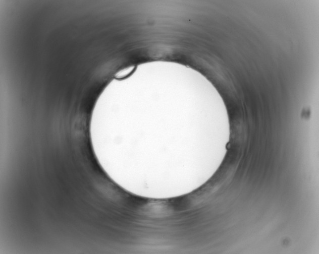 X0000103170280200809192123