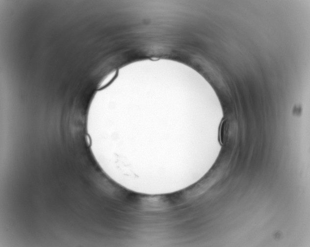 X0000103170281200809192123