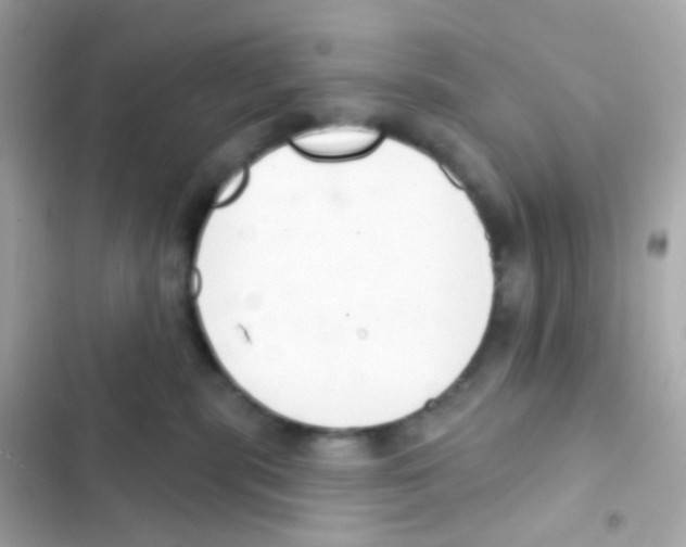 X0000103170283200809192124