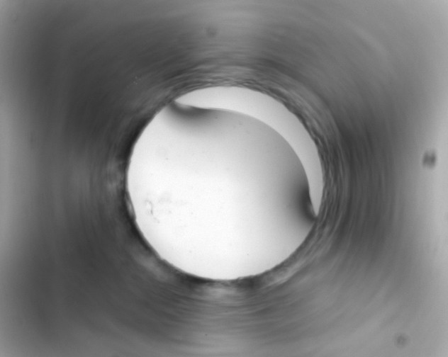 X0000103170284200809192124