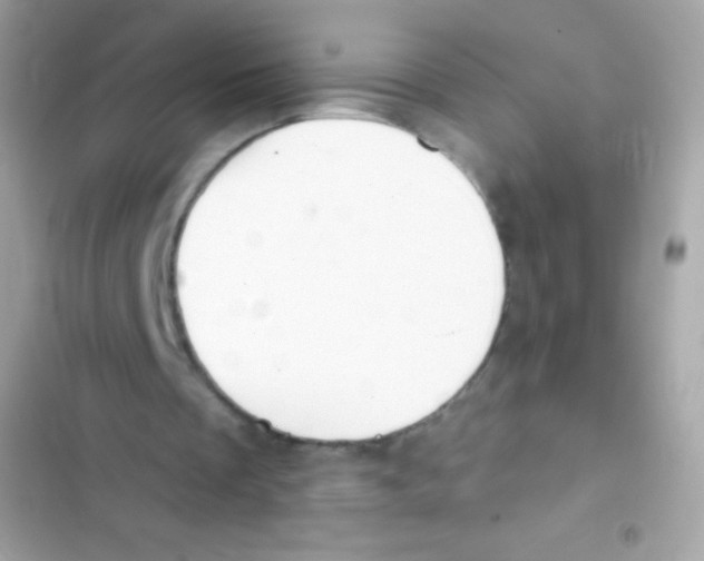 X0000103170289200809192123