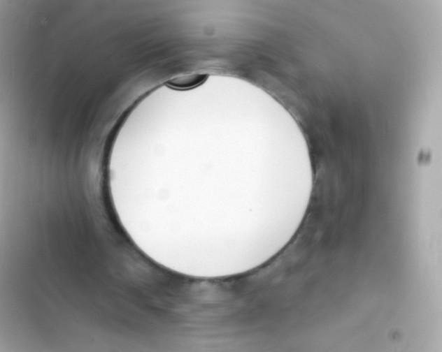 X0000103170290200809192123