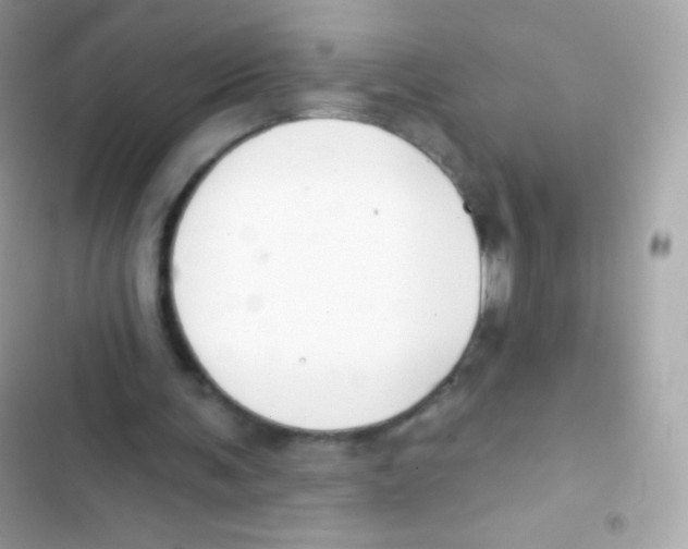 X0000103170291200809192123