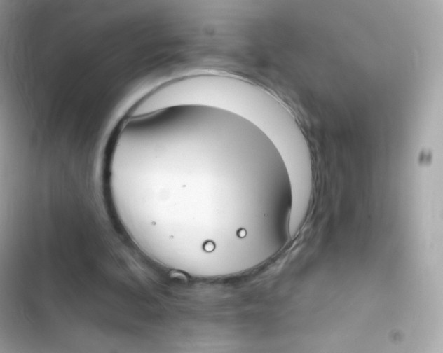 X0000103170292200809192123