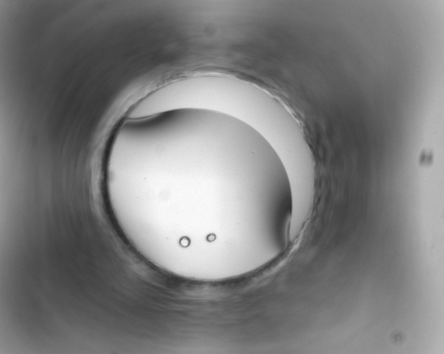 X0000103170293200809192123