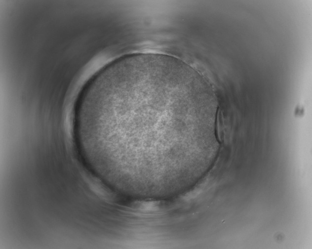 X0000103170295200809192123