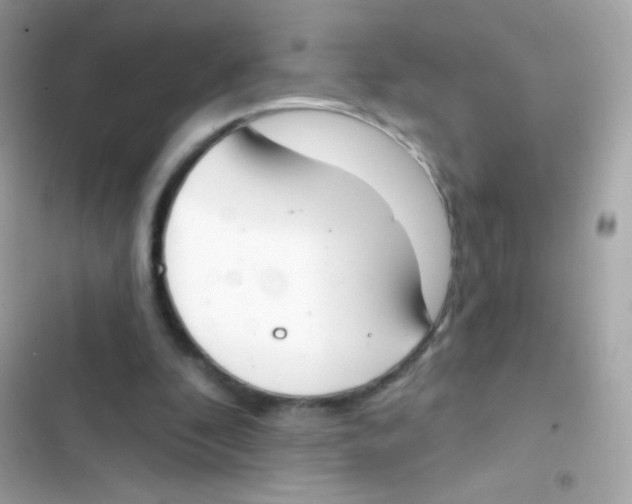 X0000103170296200809192123